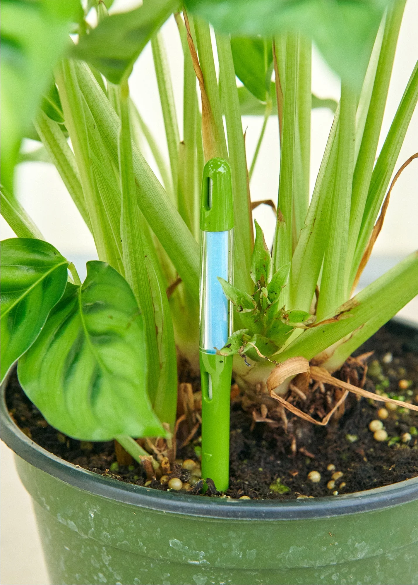Moisture Meter - Image 3