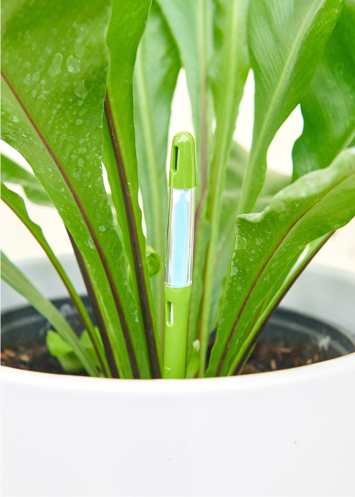 Moisture Meter - Image 4