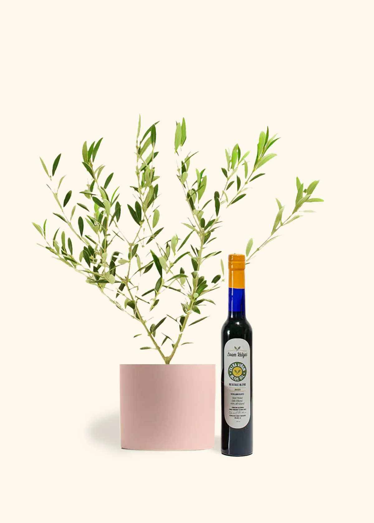 The Olive Lover's Bundle - Image 4