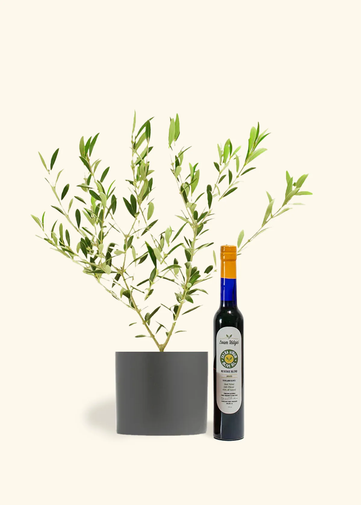 The Olive Lover's Bundle - Image 5