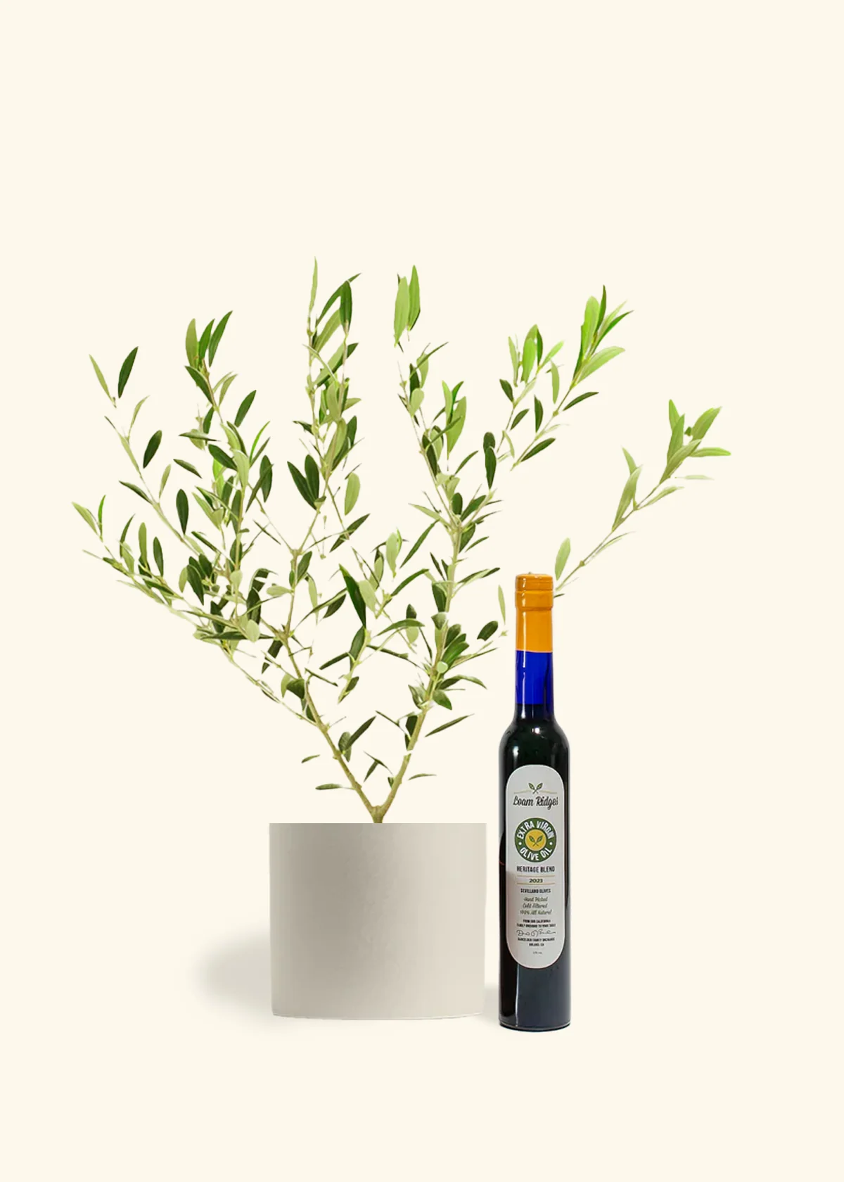 The Olive Lover's Bundle - Image 6
