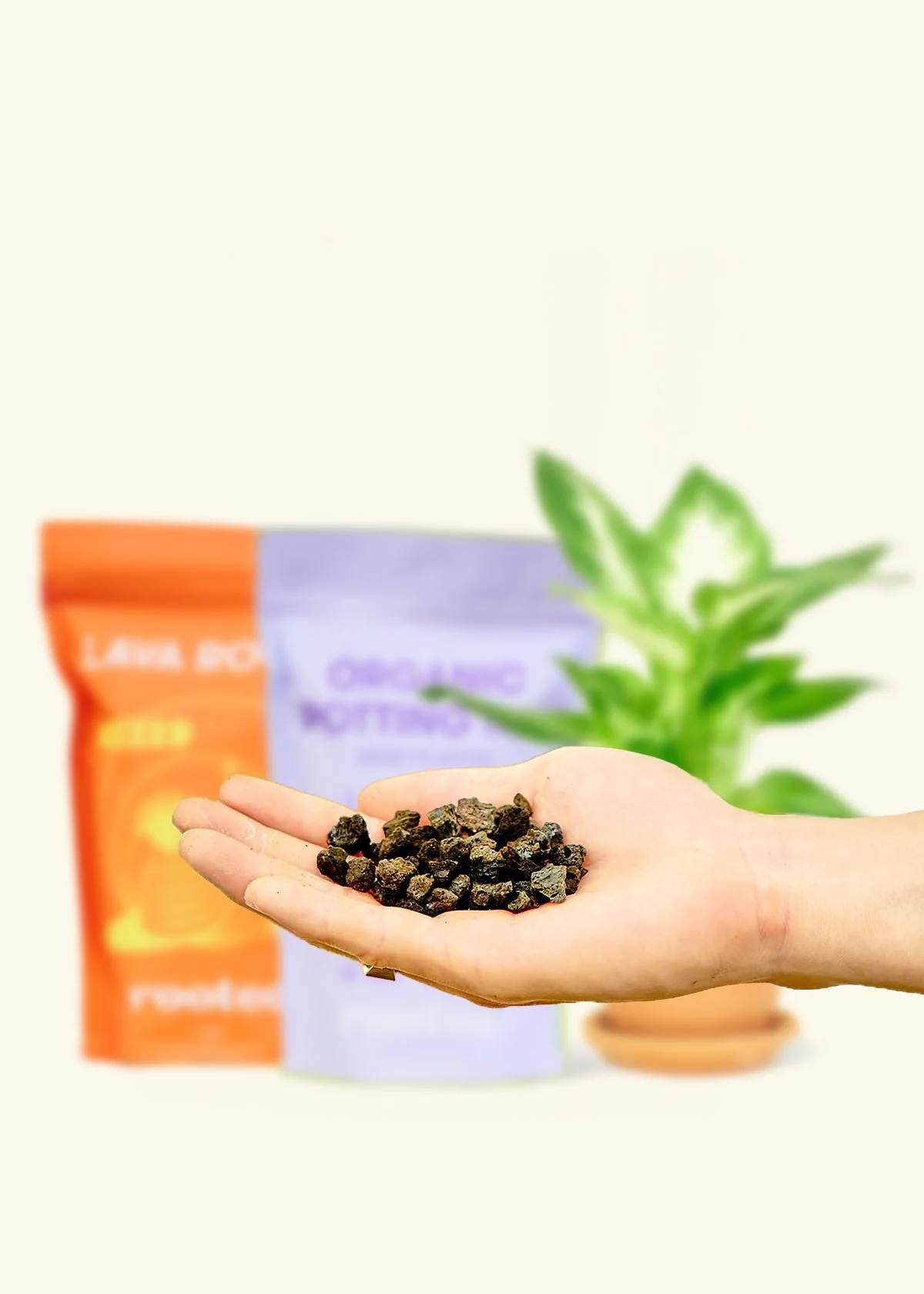 Potting Mix Trio - Image 3