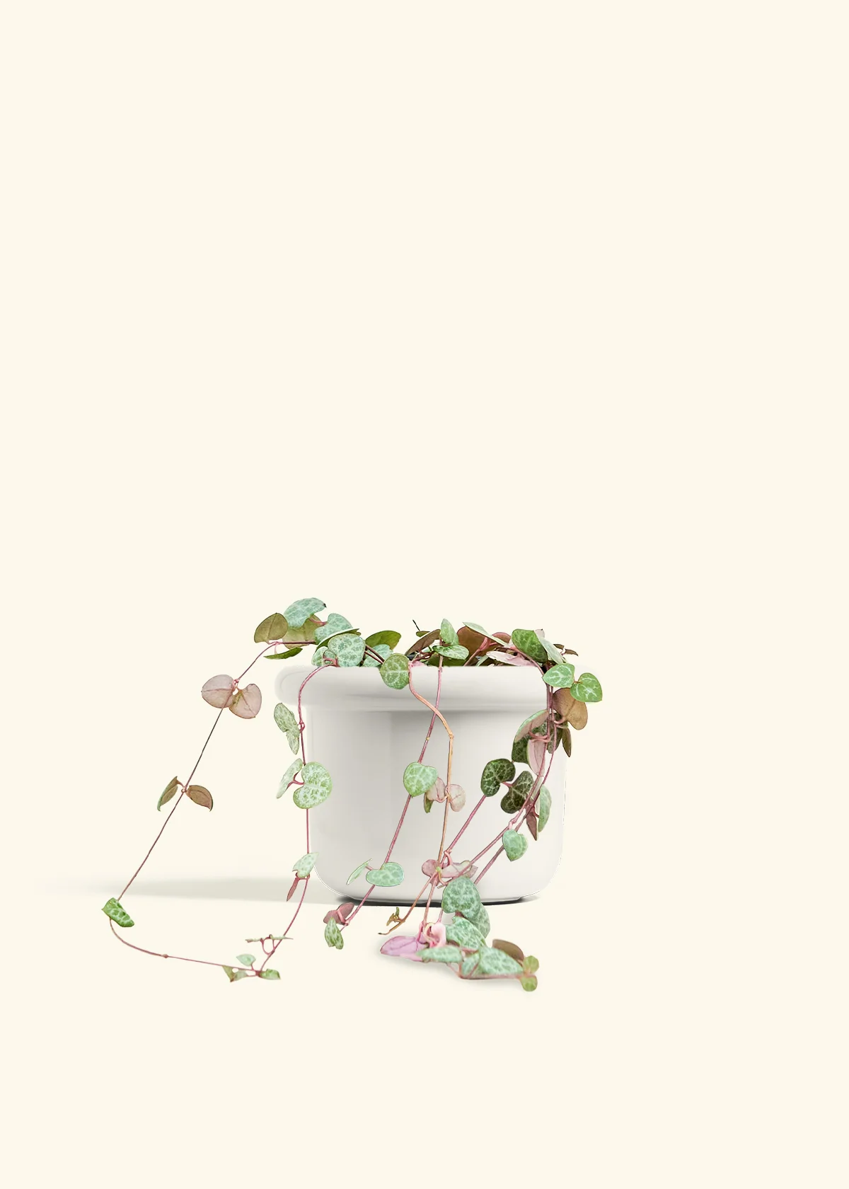 String of Hearts - Image 10