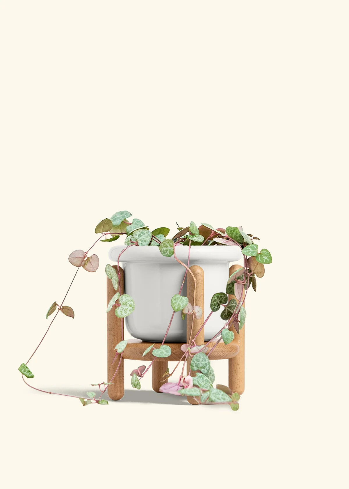 String of Hearts - Image 13
