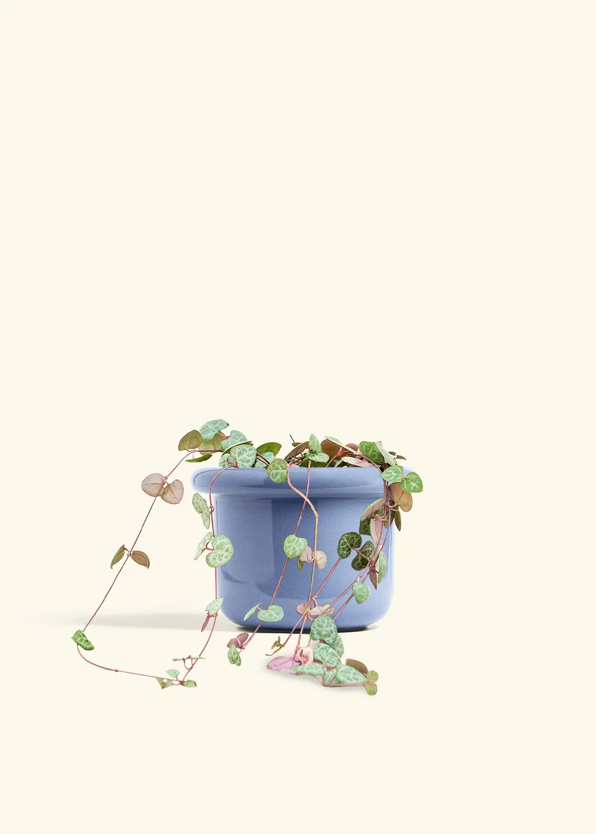 String of Hearts - Image 14