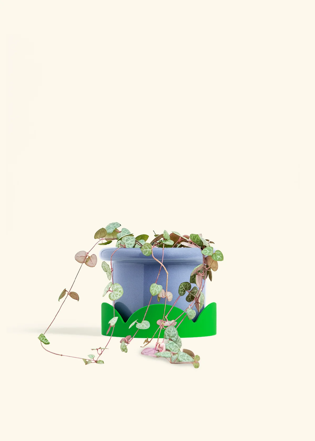 String of Hearts - Image 15
