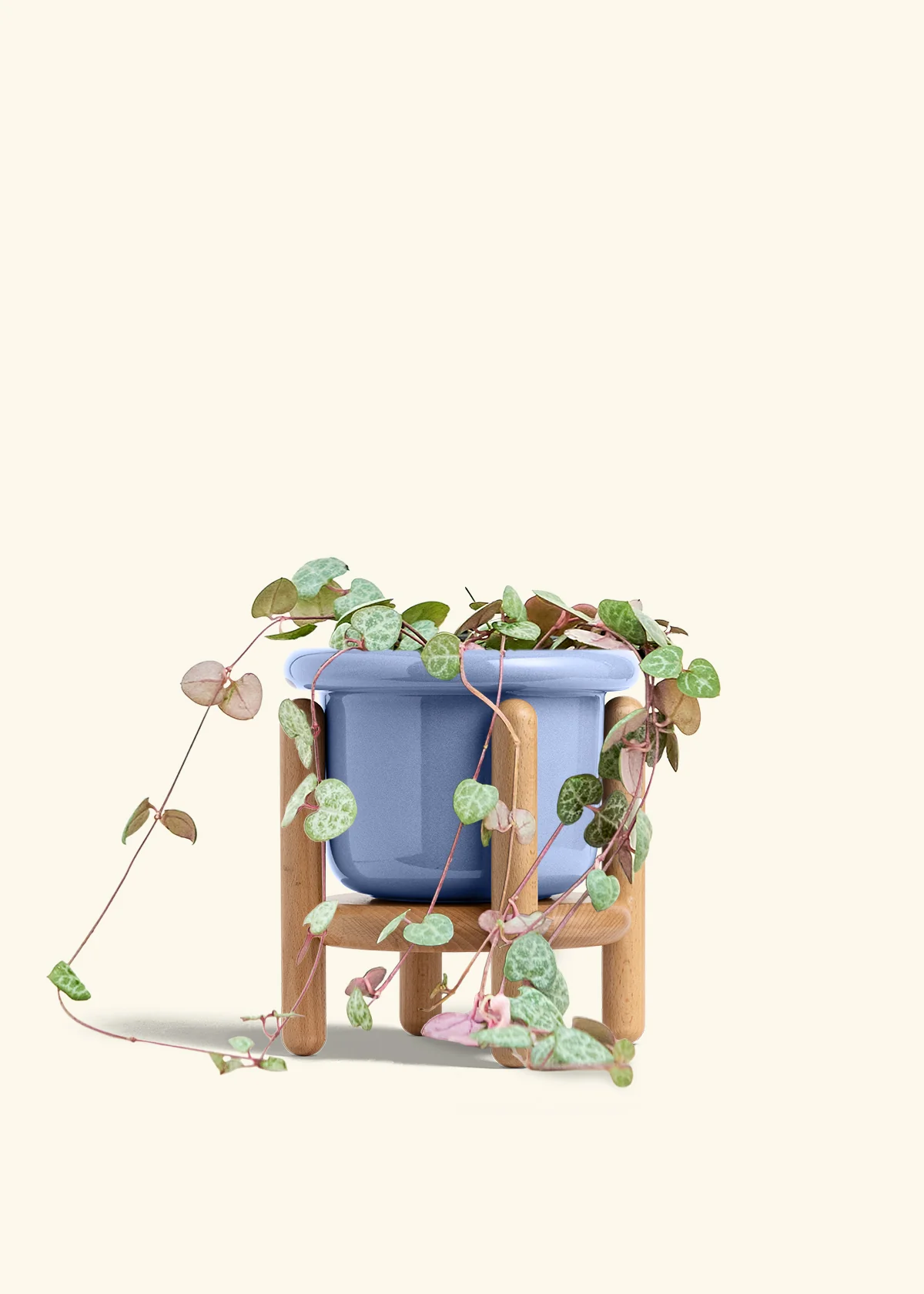 String of Hearts - Image 17