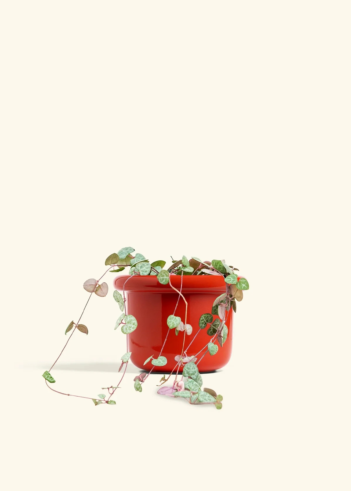 String of Hearts - Image 18