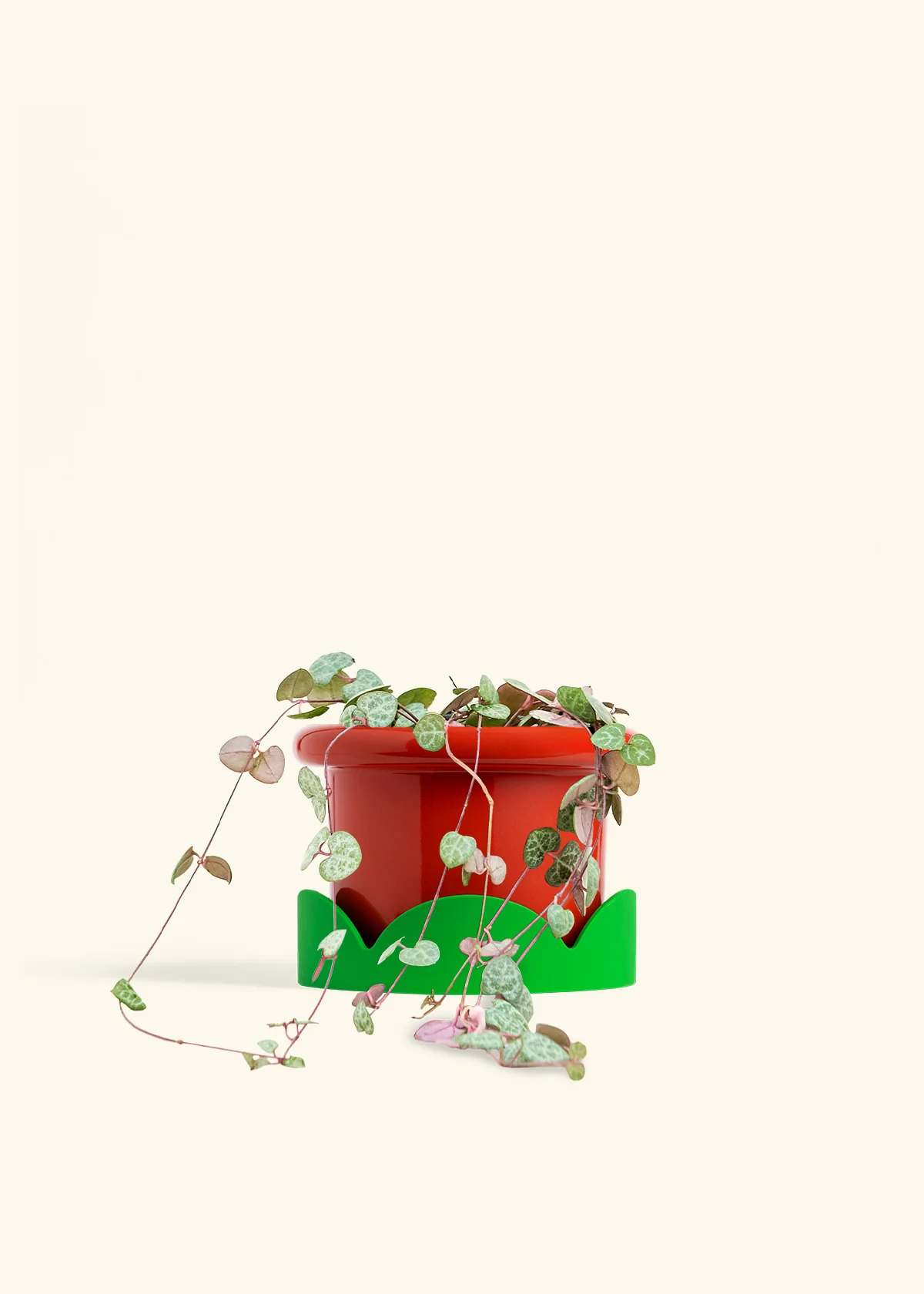 String of Hearts - Image 19