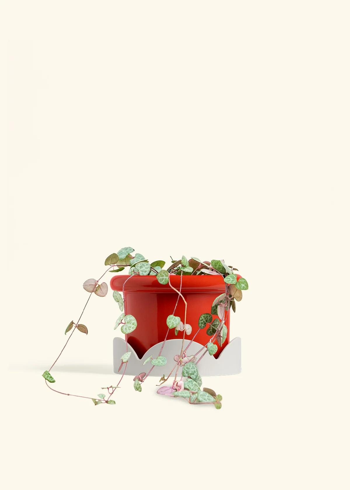 String of Hearts - Image 20
