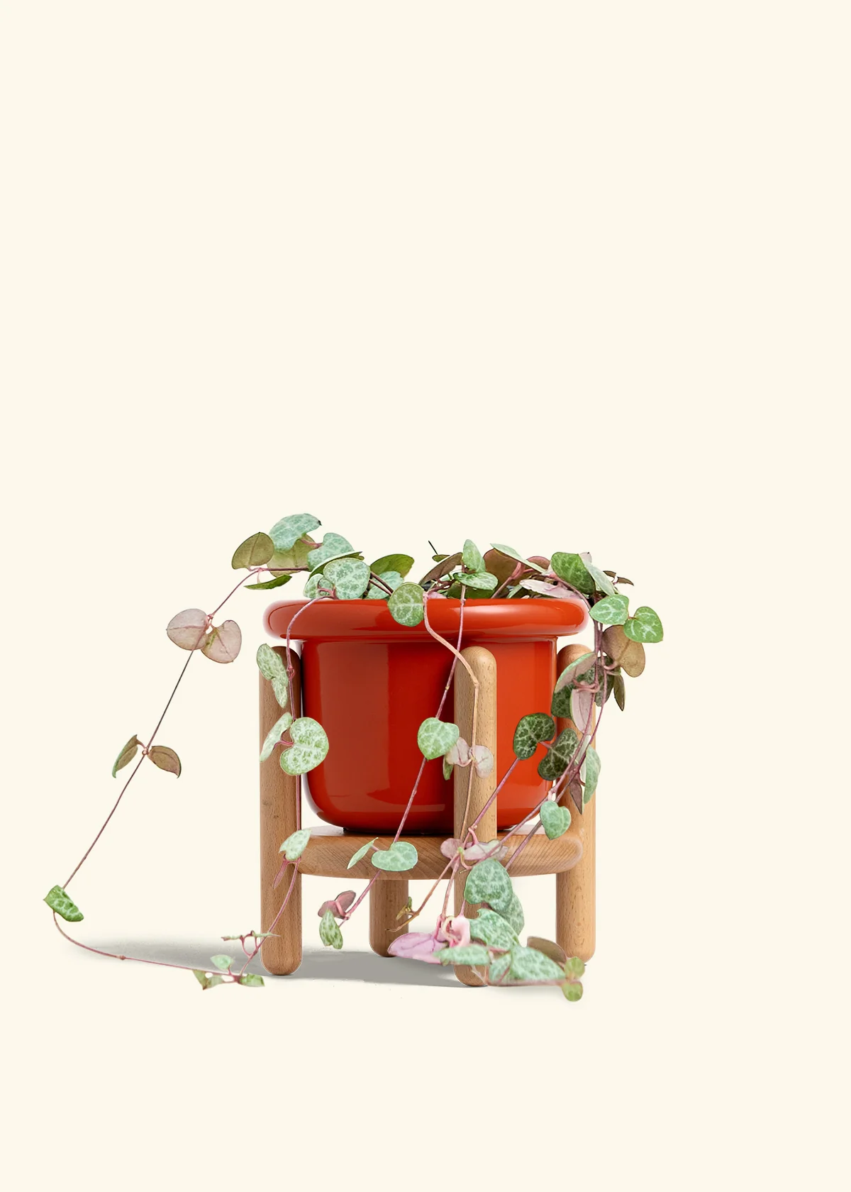 String of Hearts - Image 21