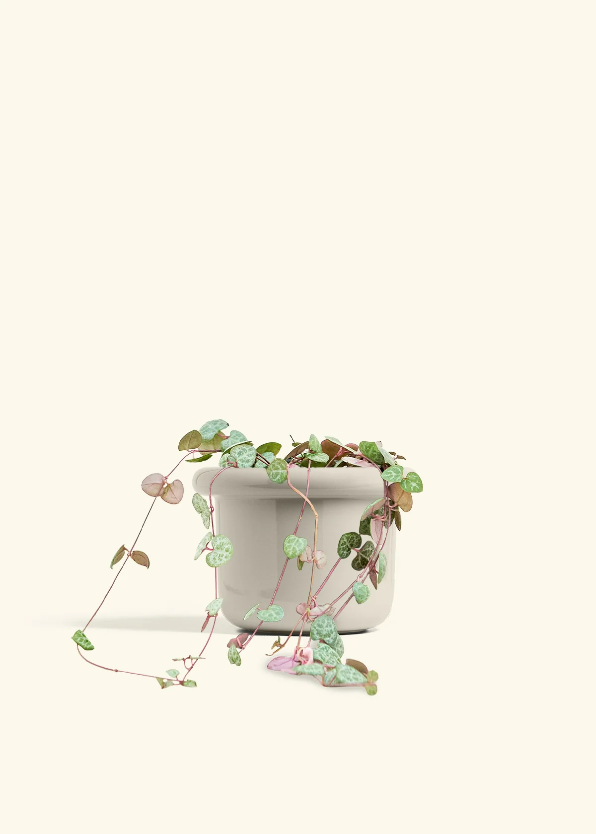 String of Hearts - Image 22