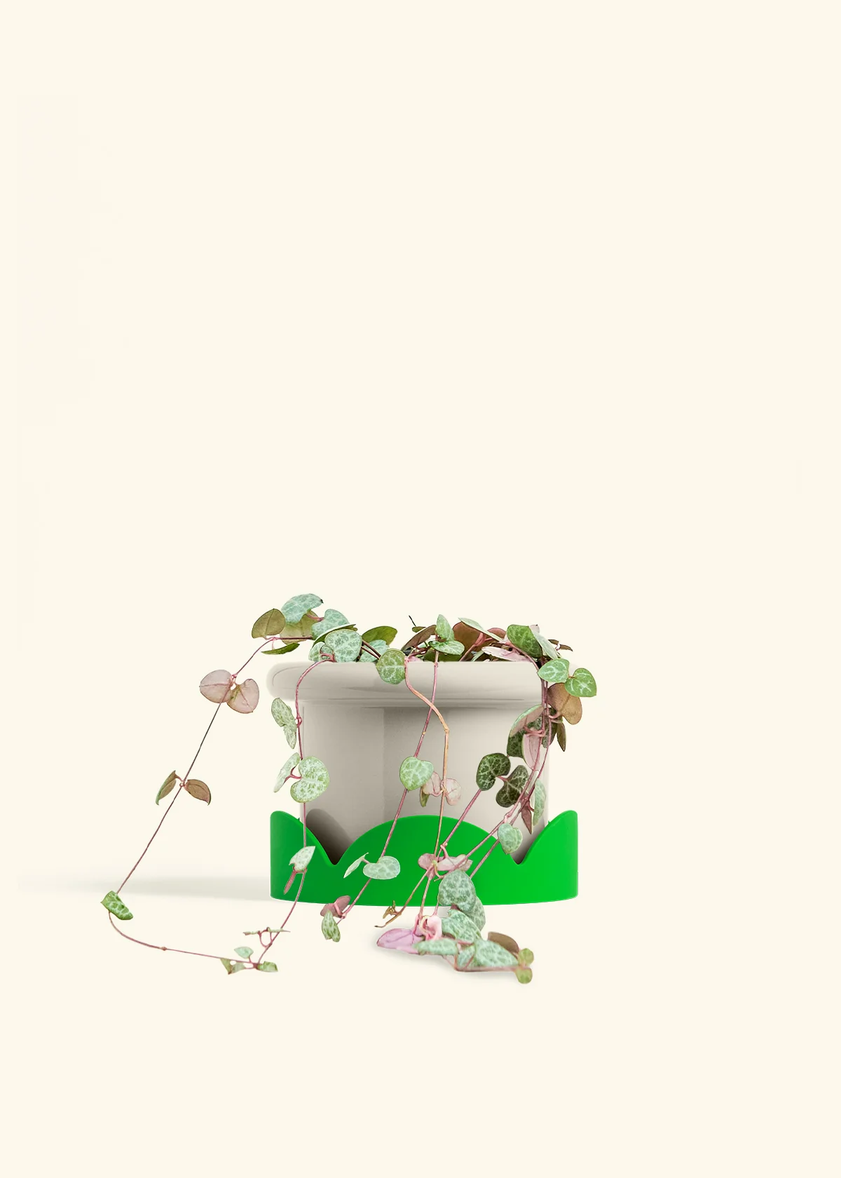 String of Hearts - Image 23