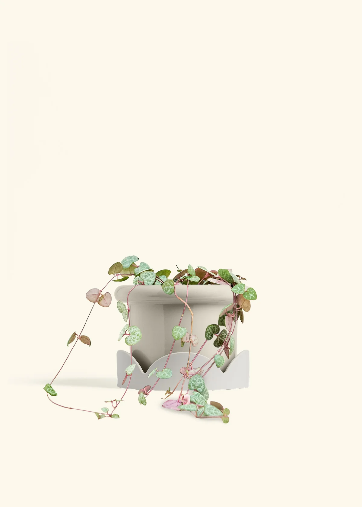 String of Hearts - Image 24