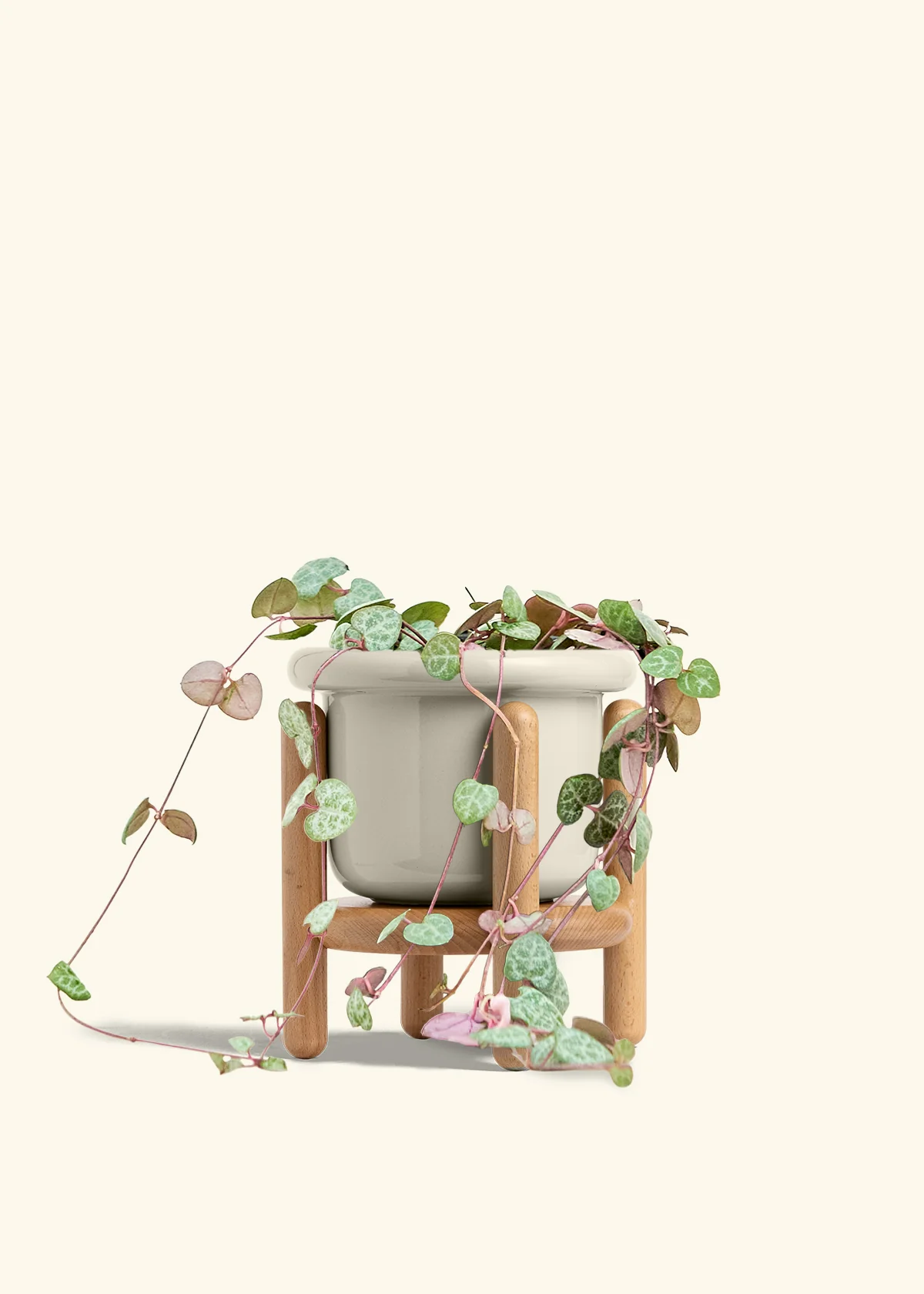 String of Hearts - Image 25