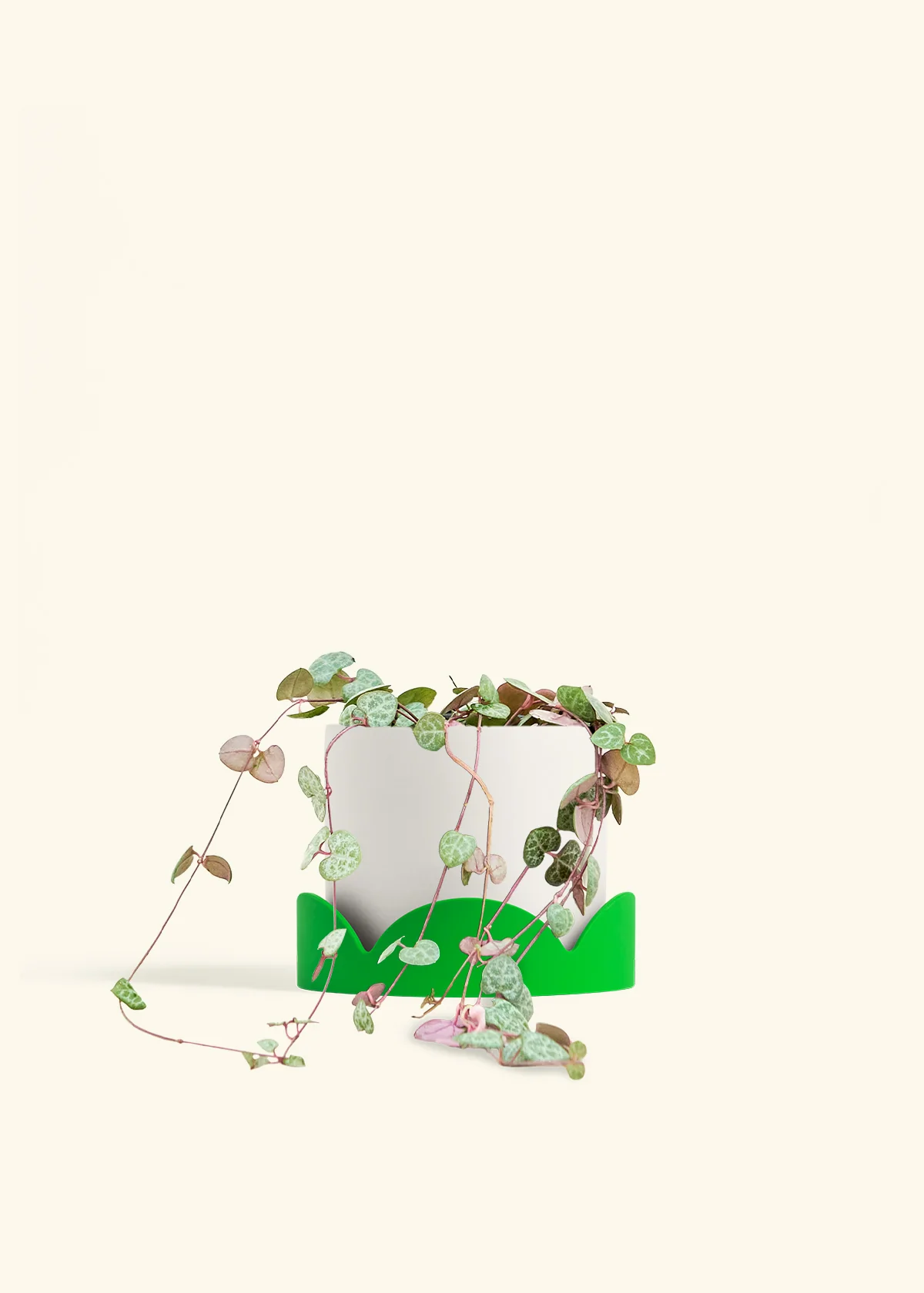 String of Hearts - Image 26