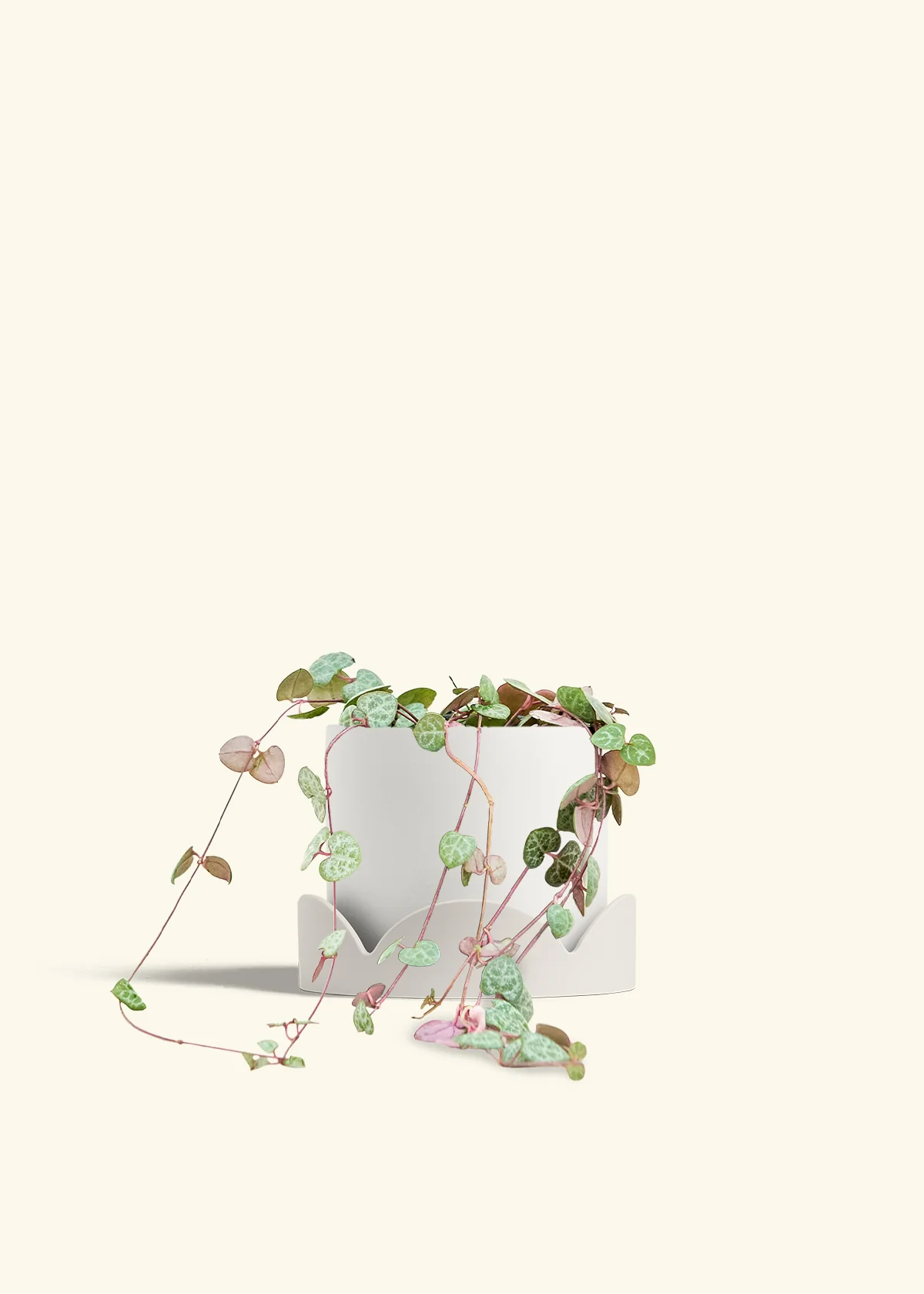 String of Hearts - Image 27