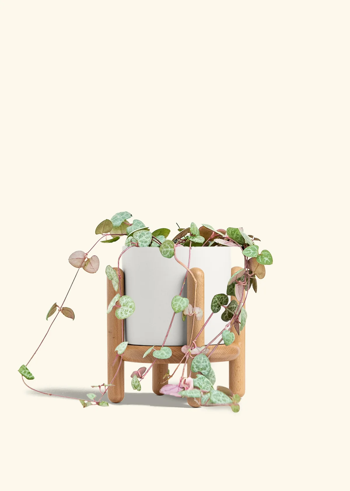 String of Hearts - Image 28