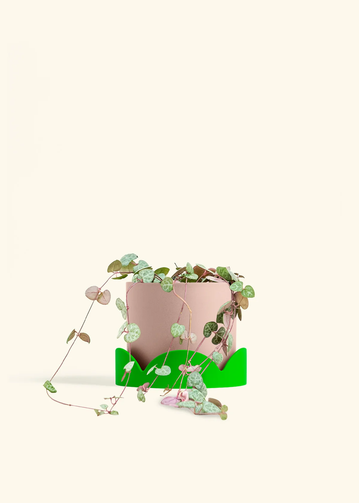 String of Hearts - Image 29