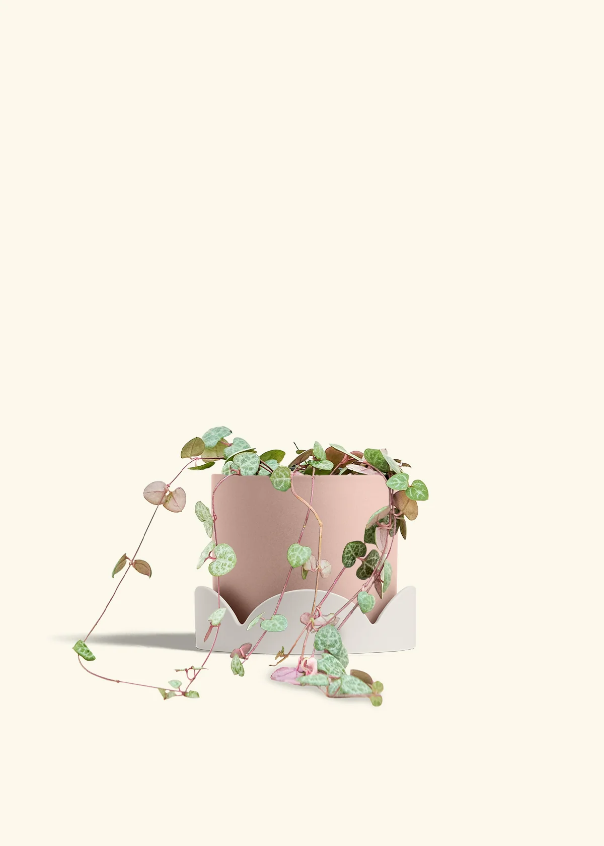 String of Hearts - Image 30