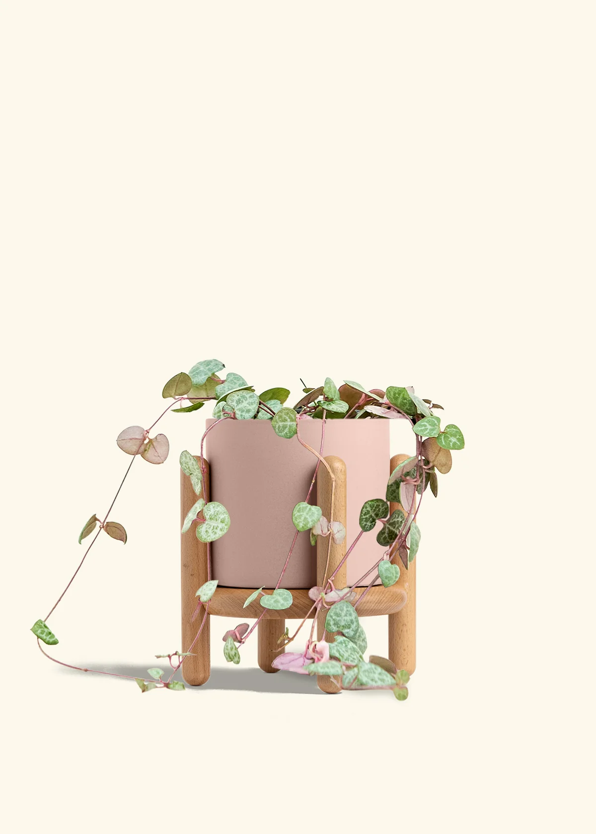String of Hearts - Image 31