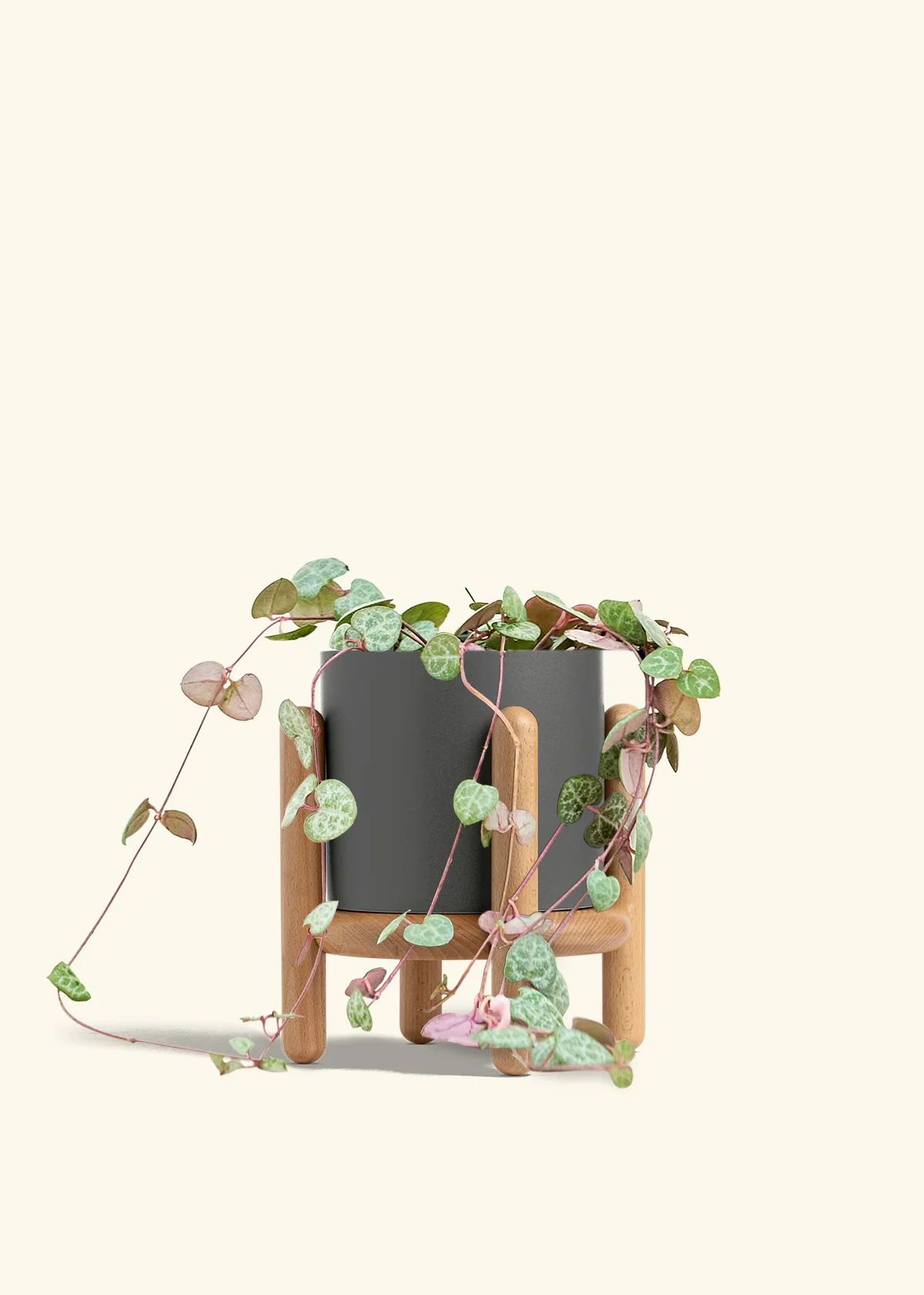 String of Hearts - Image 32