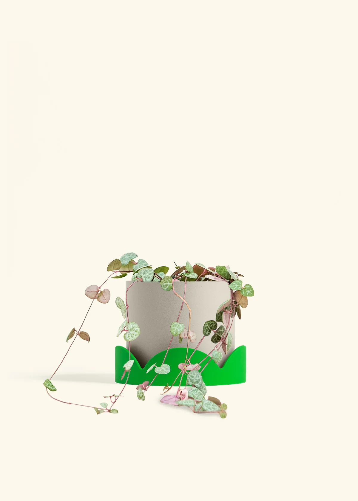 String of Hearts - Image 35