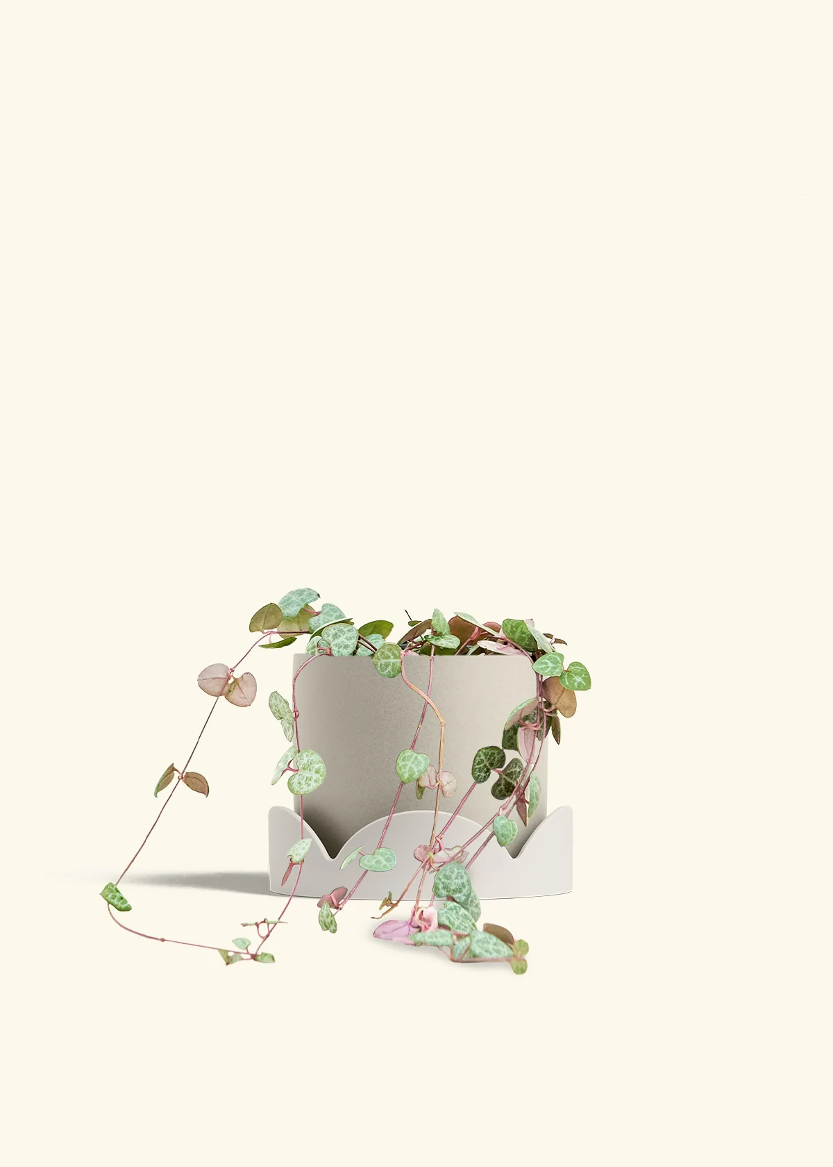 String of Hearts - Image 36
