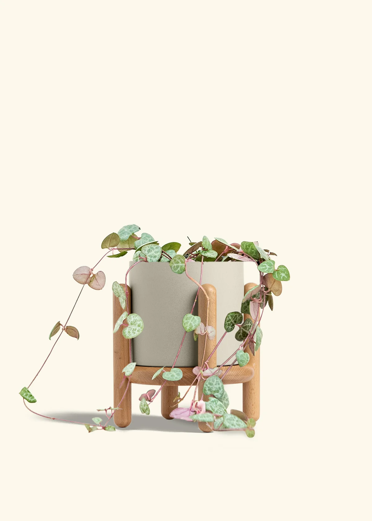 String of Hearts - Image 37