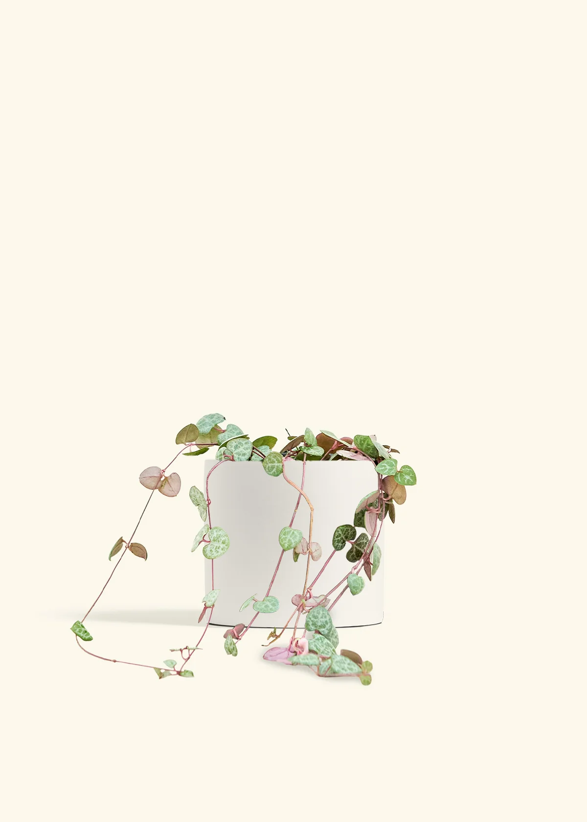 String of Hearts - Image 39