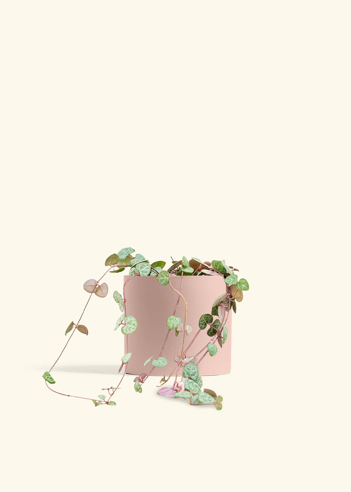 String of Hearts - Image 40