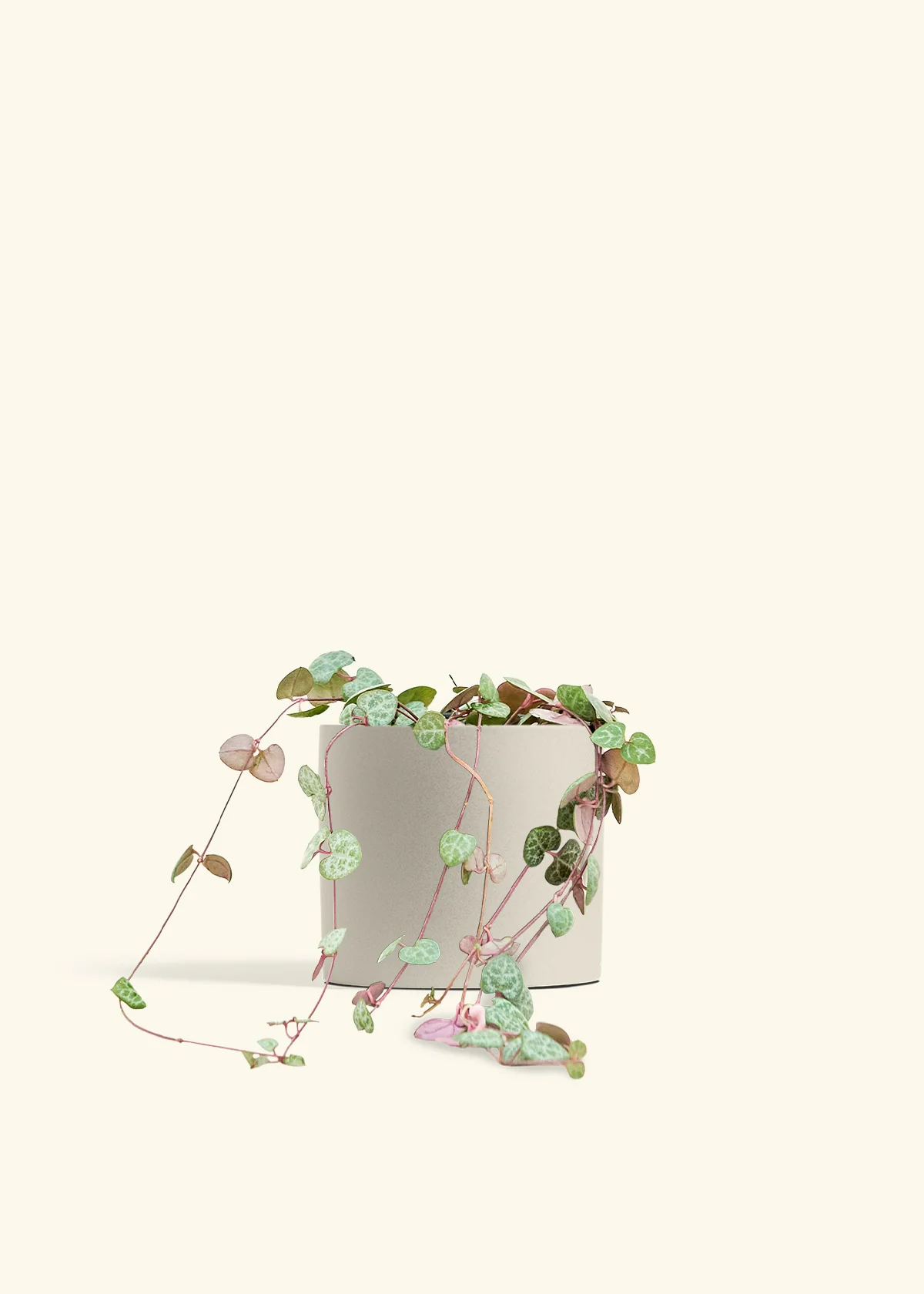 String of Hearts - Image 42