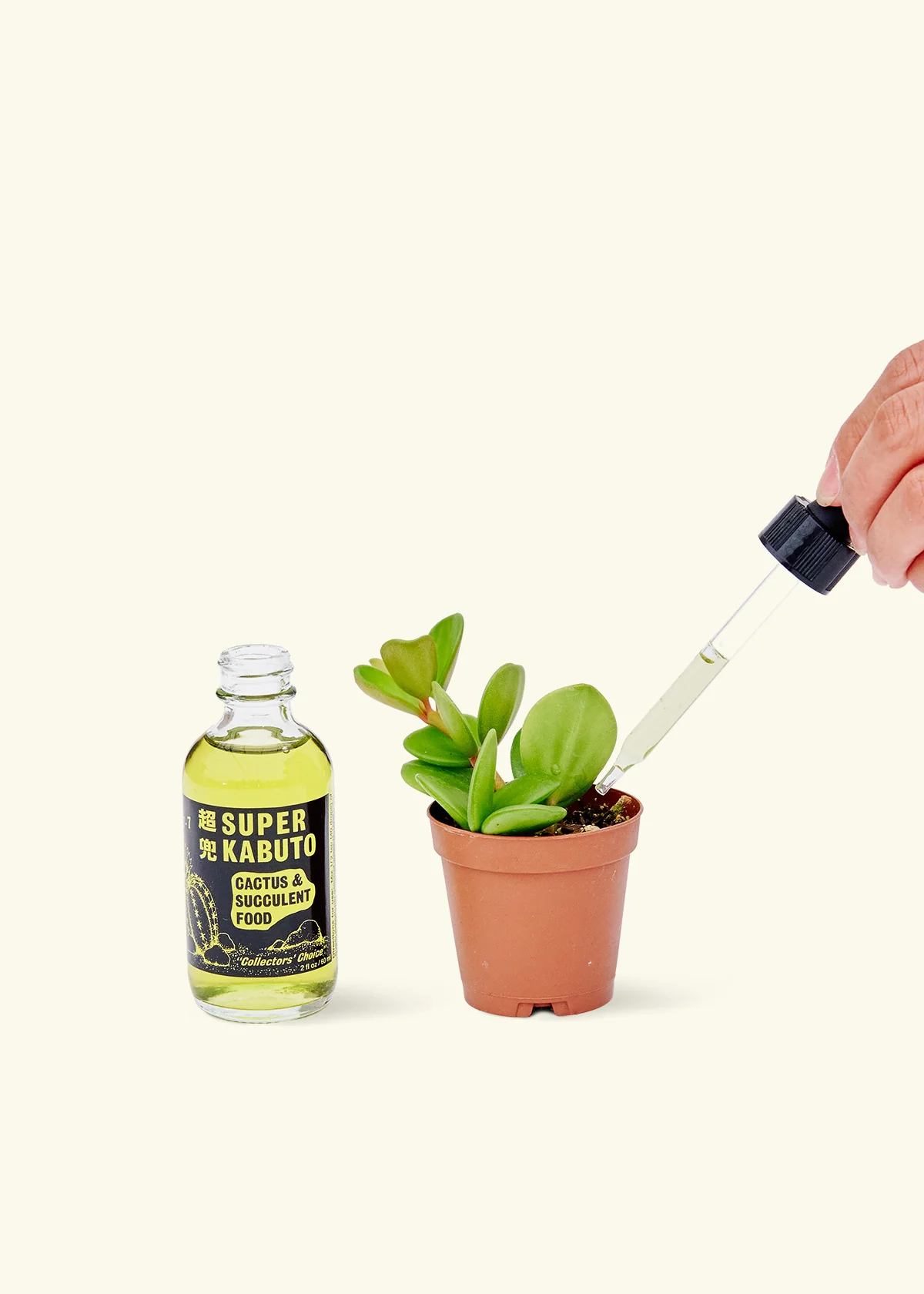 Super Kabuto Cactus Fertilizer - Image 2