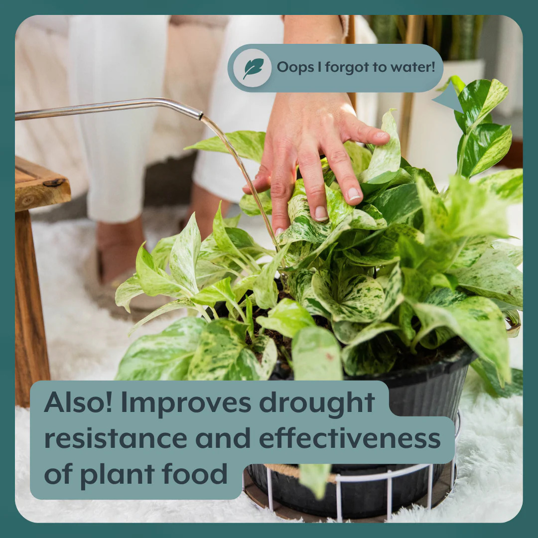 The Houseplant GROW Bundle - Image 5