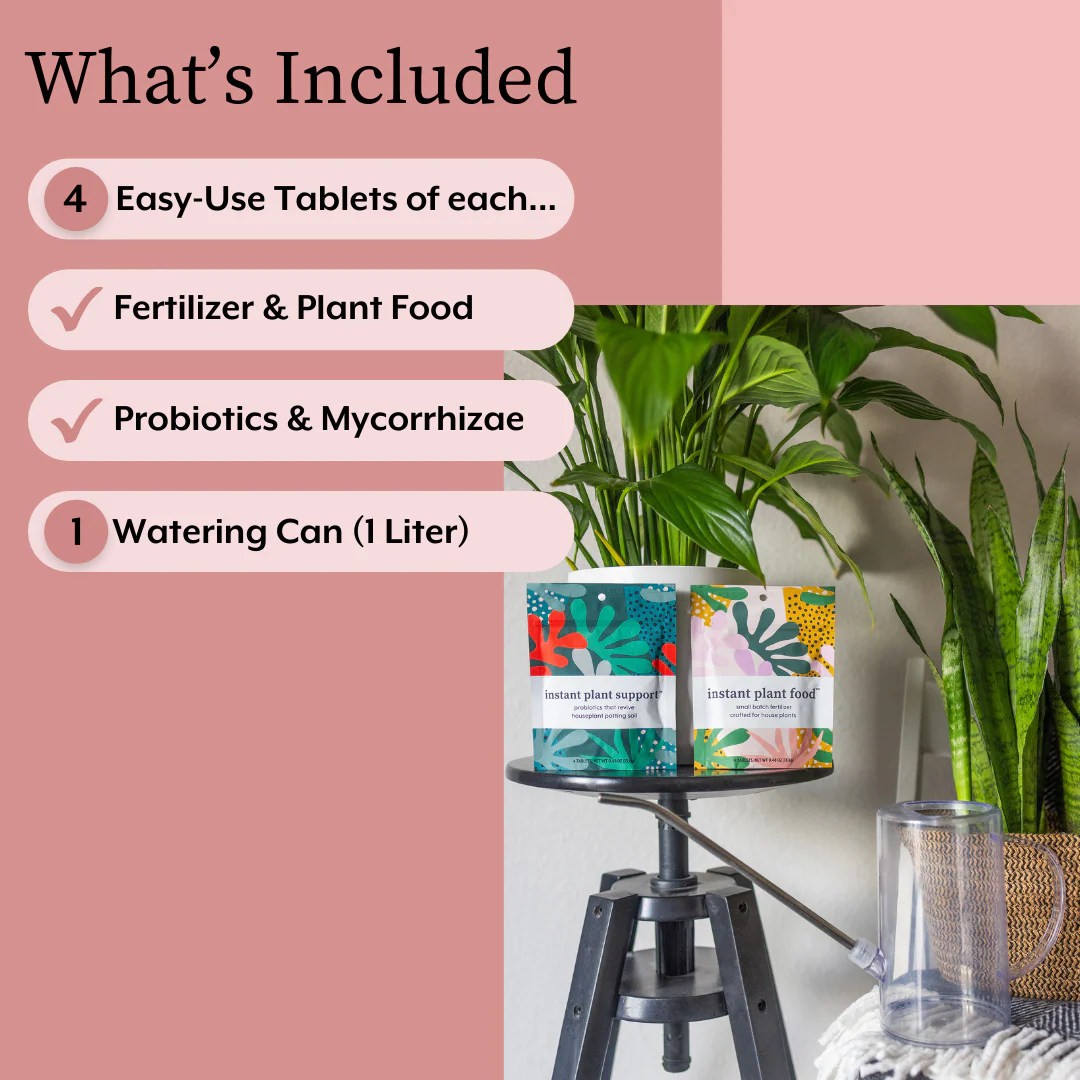 The Houseplant GROW Bundle - Image 6