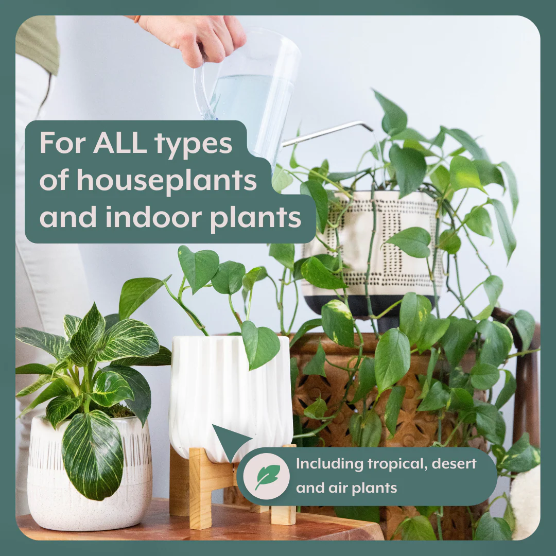 The ULTIMATE Plant Parent Bundle - Image 2