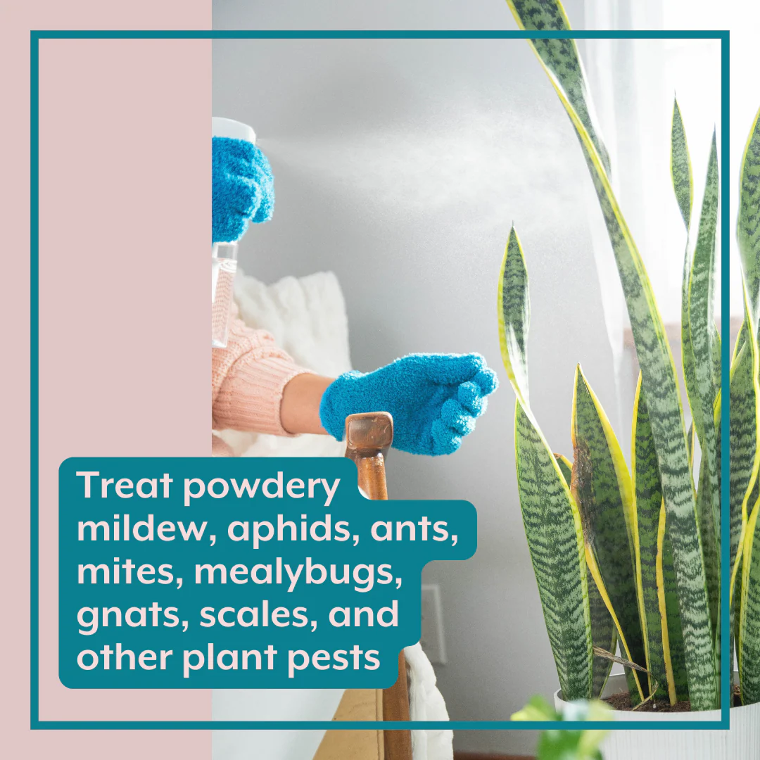 The ULTIMATE Plant Parent Bundle - Image 4
