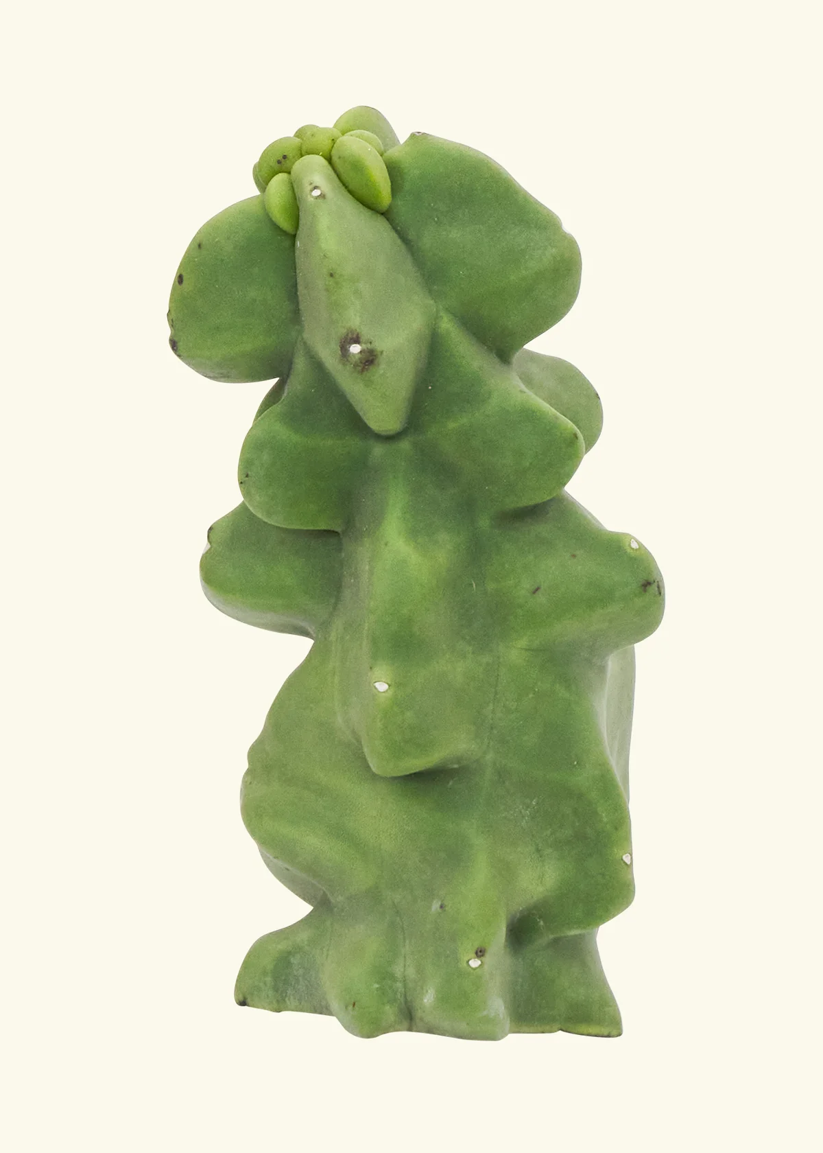 Totem Pole Cactus - Image 2